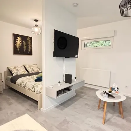 De L'europe Apartment *